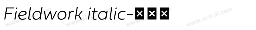 Fieldwork italic字体转换